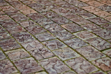 Beautiful and original texture.