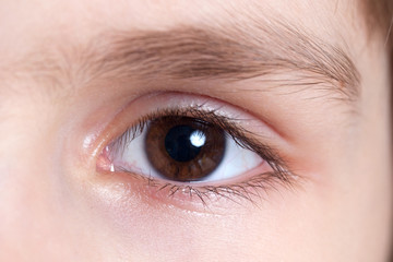 Fototapeta na wymiar A child's eyes, macro
