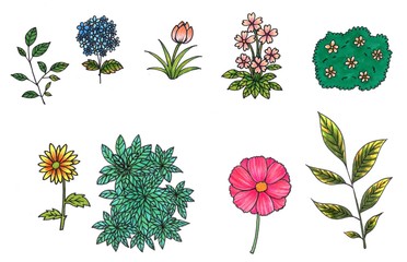 Set of Botanical illustration, Hand drawn colour flowers and leaves element collection for decorative and graphic design.