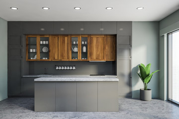 Luxury gray kitchen interior with island