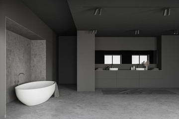 Luxury gray loft bathroom interior