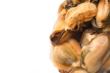 mussels on a white background
