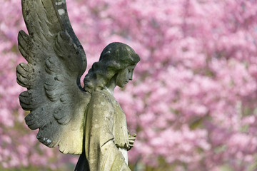 statue of angel at municipal cemetery in Amsterdam, The Netherlands