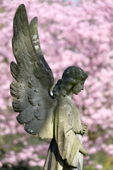 statue of angel at municipal cemetery in Amsterdam, The Netherlands