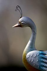 iron peacock on blurred background