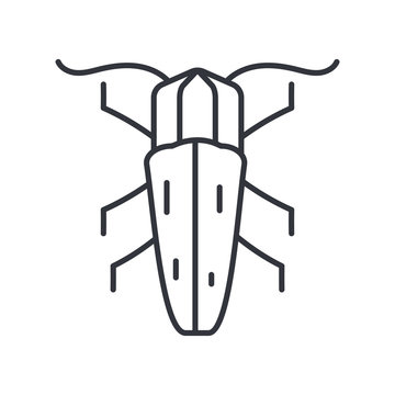 earwing insect icon, line detail style
