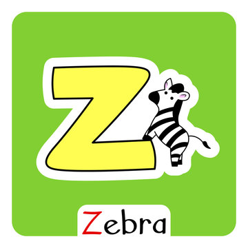 Alphabet for kids english letter Z with zebra image vector isolated colorful illustration