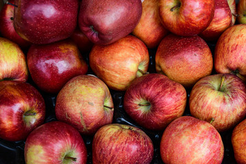 ugly eco food organic apples at the farmers' market. ugly fruits and vegetables concept. selective focus