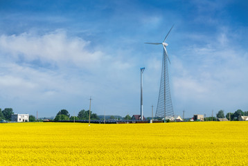 Wind power station in field with rape oil seed plants