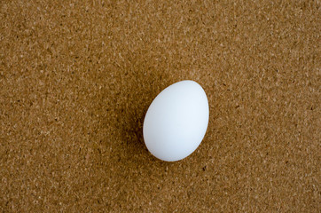 Fototapeta na wymiar white egg