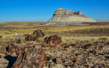 The trunks of petrified trees, multi-colored crystals of minerals. Petrified Forest National Park, Arizona