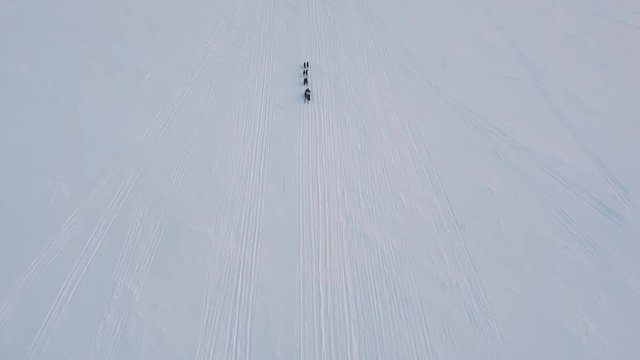 Dogsled race Junior, Finnmarksl&oslash;pet 2020