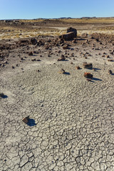 The trunks of petrified trees, multi-colored crystals of minerals. Petrified Forest National Park, Arizona