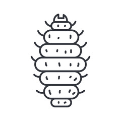 maggot insect icon, line detail style