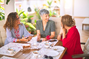 Fototapeta premium Meeting of middle age women having lunch and drinking coffee. Mature friends smiling happy using smartphone at home on a sunny day
