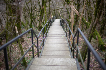 Fototapeta premium Trail for tourists in a nature reserve. Wildlife trail. Concrete path in the relict forest. A tourist route for a walk in an unknown place. Equipped lift.
