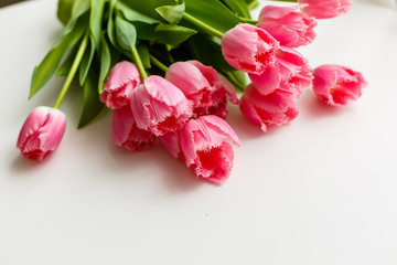 Fototapeta na wymiar pink tulips lie on a white table