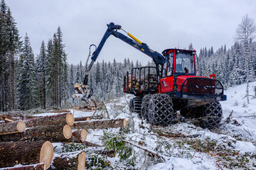 Sustaineable timber harvesting in Norway during wintertime