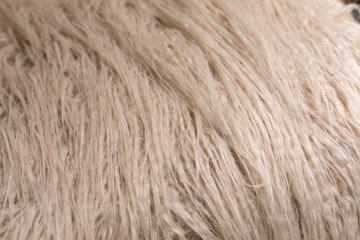 Background from artificial fur fabric with a long pile of light beige shade. Eco-friendly replacement for sodium fur