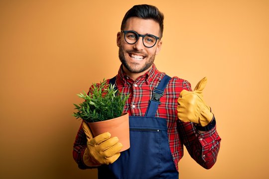 Young gardener man wearing working apron gardening plat for hobby over yellow background happy with big smile doing ok sign, thumb up with fingers, excellent sign