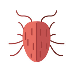 bed bug insect, flat style icon