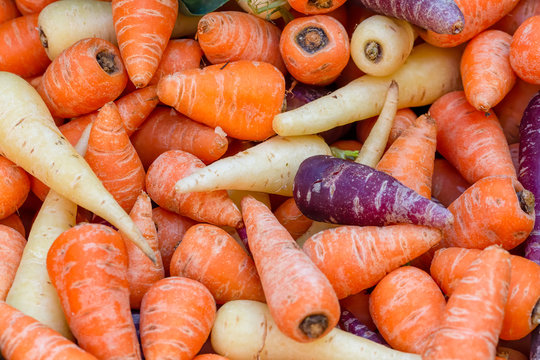 Pile of purple, orange and white Chantenay carrots, Daucus carota, on a market stall. Background image