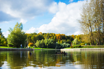 Fototapeta na wymiar City park in the fall. City landscape in the fall season.