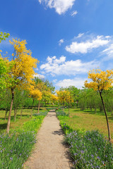 green landscape in the park