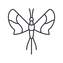 leaf butterfly insect, line detail style icon