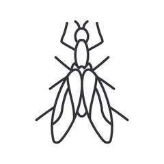 snakefly insect, line detail style icon