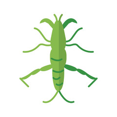 stick insect, flat style icon