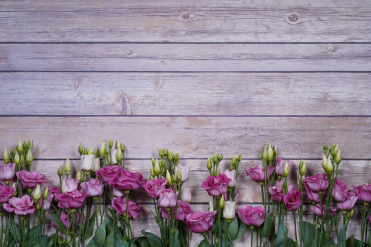 purple and white eustom roses on wooden background. Empty space for design.