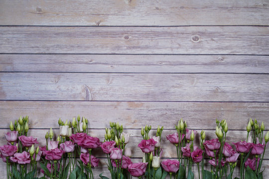 purple and white eustom roses on wooden background. Empty space for design.