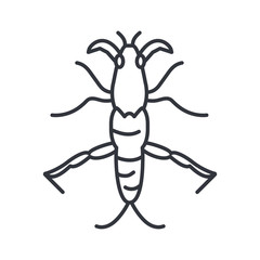 stick insect, line detail style icon