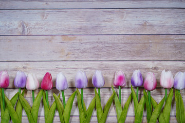 Multicolor tulips on brown wooden background. Empty space for your design Image of spring flower.