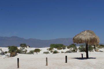 Beautiful view of the plaster dunes in Coahuila, Mexico