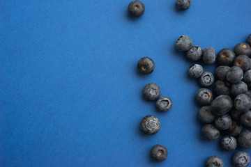 Blueberry berry on a classic blue background. Lots of berries close-up.