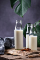 Lactose free nondairy buckwheat milk