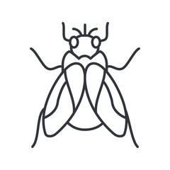 fly insect, line detail style icon