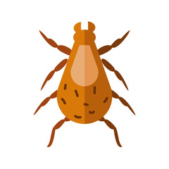 louse insect, flat style icon