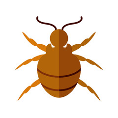 flea insect icon, flat style