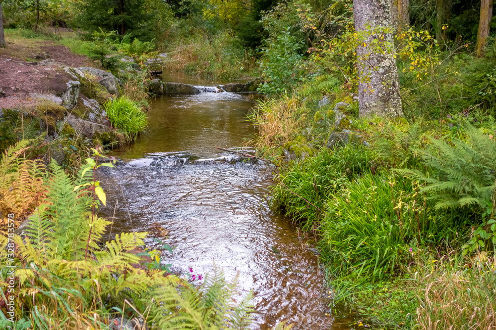 Sticker small creek in the Vosges mountains