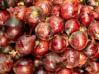 A lot of red onion