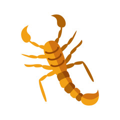 scorpio insect, flat style icon