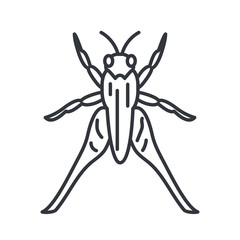 grasshopper insect, line detail style icon