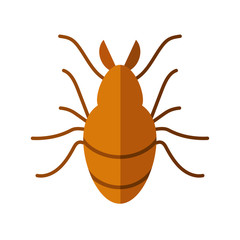 chafer insect icon, flat style