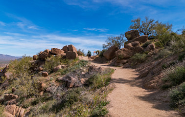 Man On Desert Hiking Trail In Nirth Scottsdale, AZ