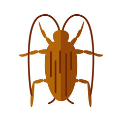 cockroach insect, flat style icon