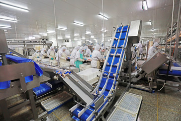 Workers are busy on the broiler processing line, Luannan County, Hebei Province, China