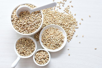 Raw barley grains, released in containers on white wooden background